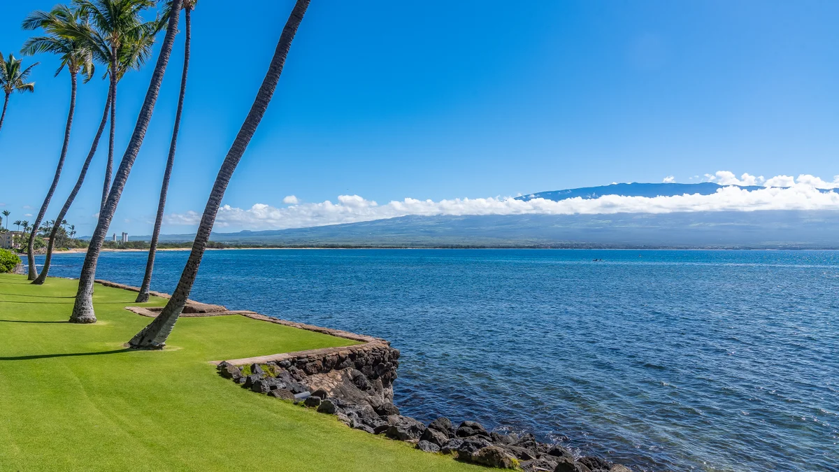 Lauloa 105