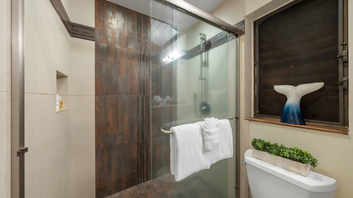 Wailea Ekolu 1604