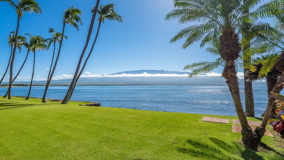 Lauloa 105