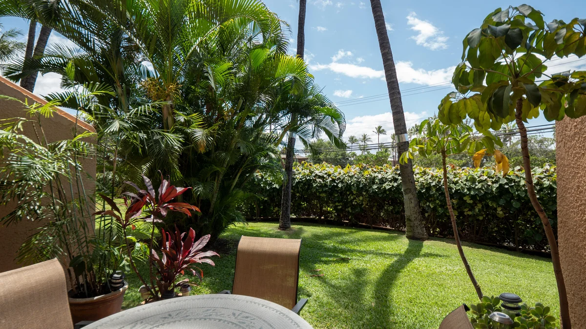 .Maui Vista 1116