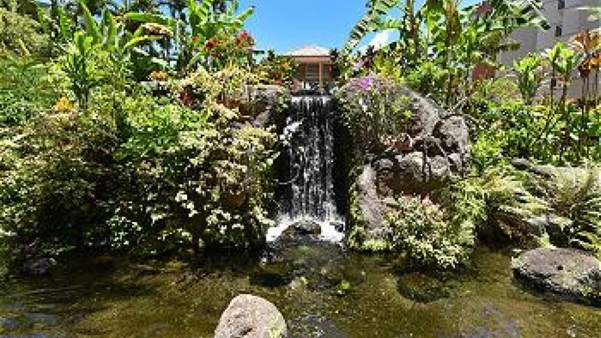 Kaanapali Shores 628