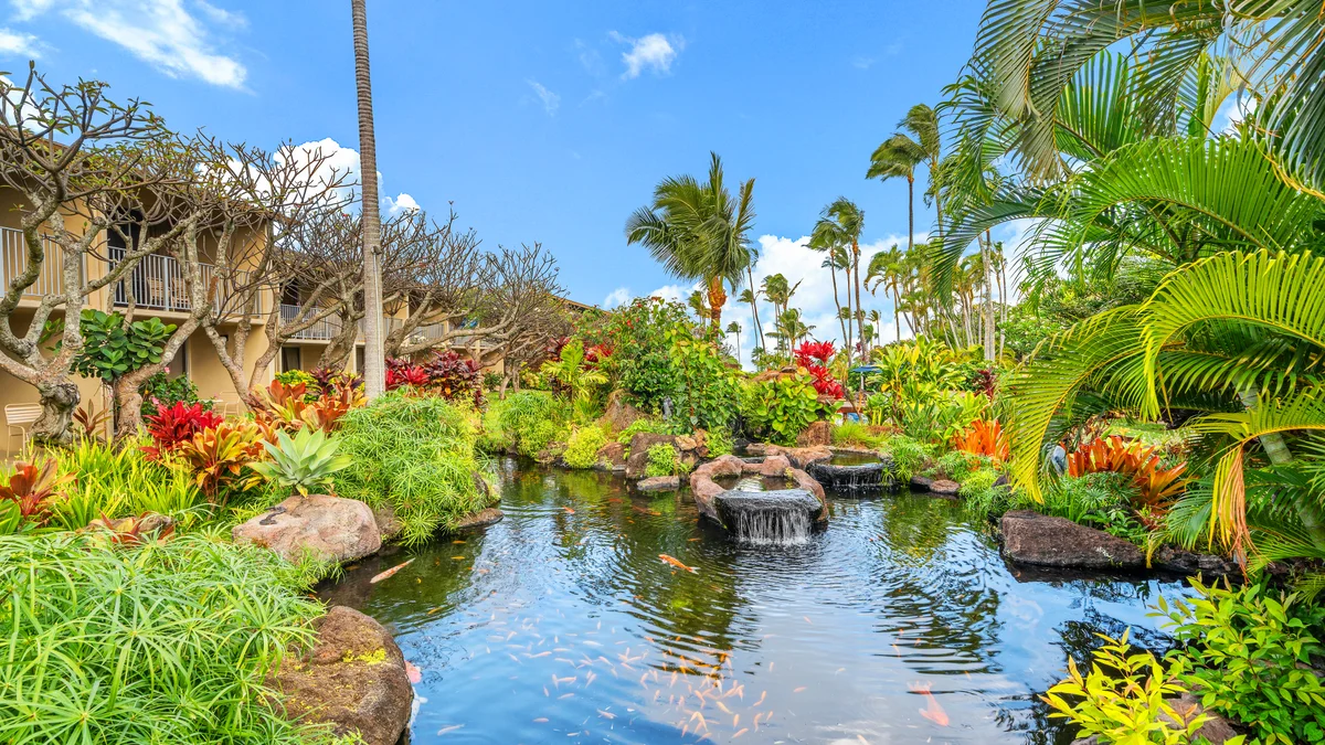 Napili Shores H262
