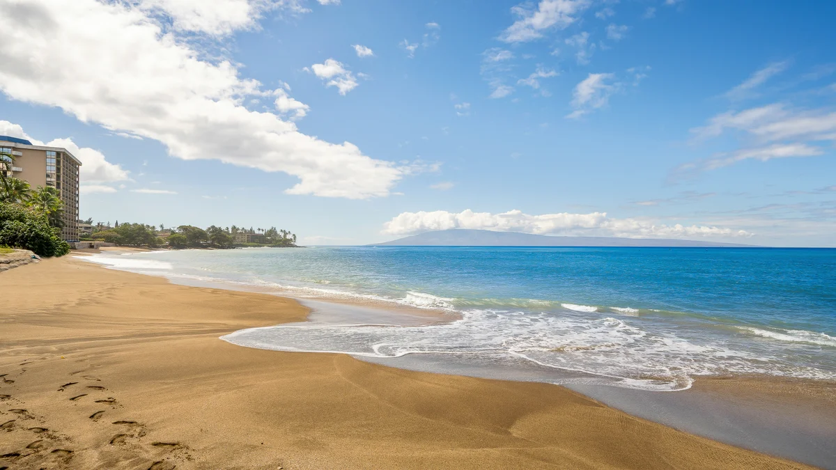 .Kahana Manor 318