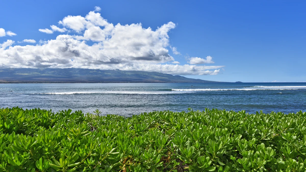 Island Sands 210