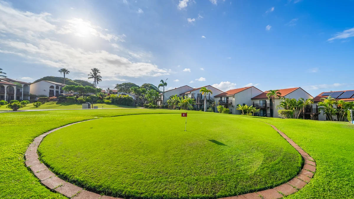 Maui Hill 66