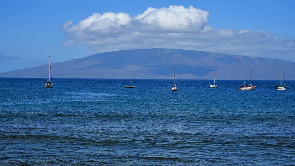 FIRE Lahaina Roads 309