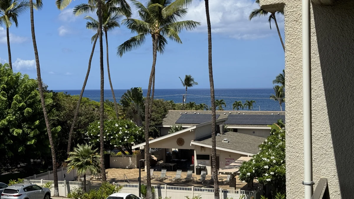 Kihei Akahi C303
