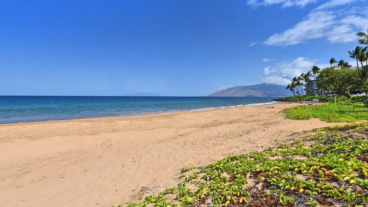 Kihei Akahi D402