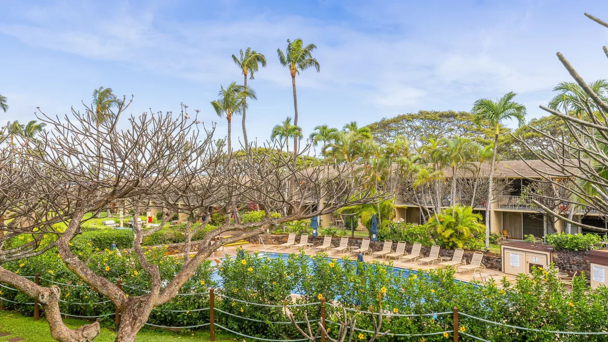 Napili Shores E240