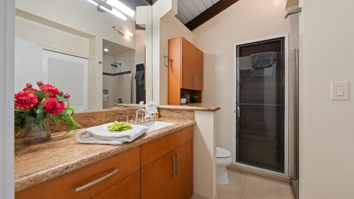 Wailea Ekolu 1604