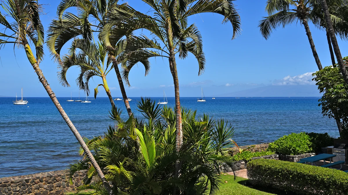 FIRE Lahaina Roads 303