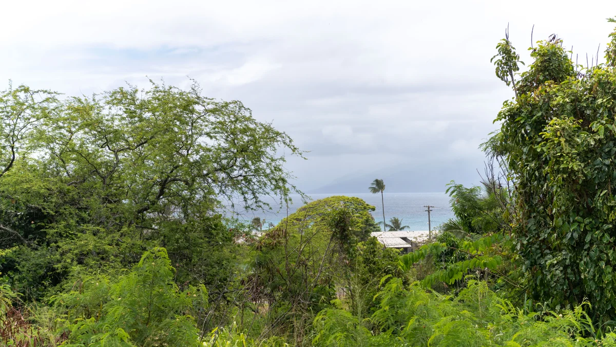 .Napili Ridge D13