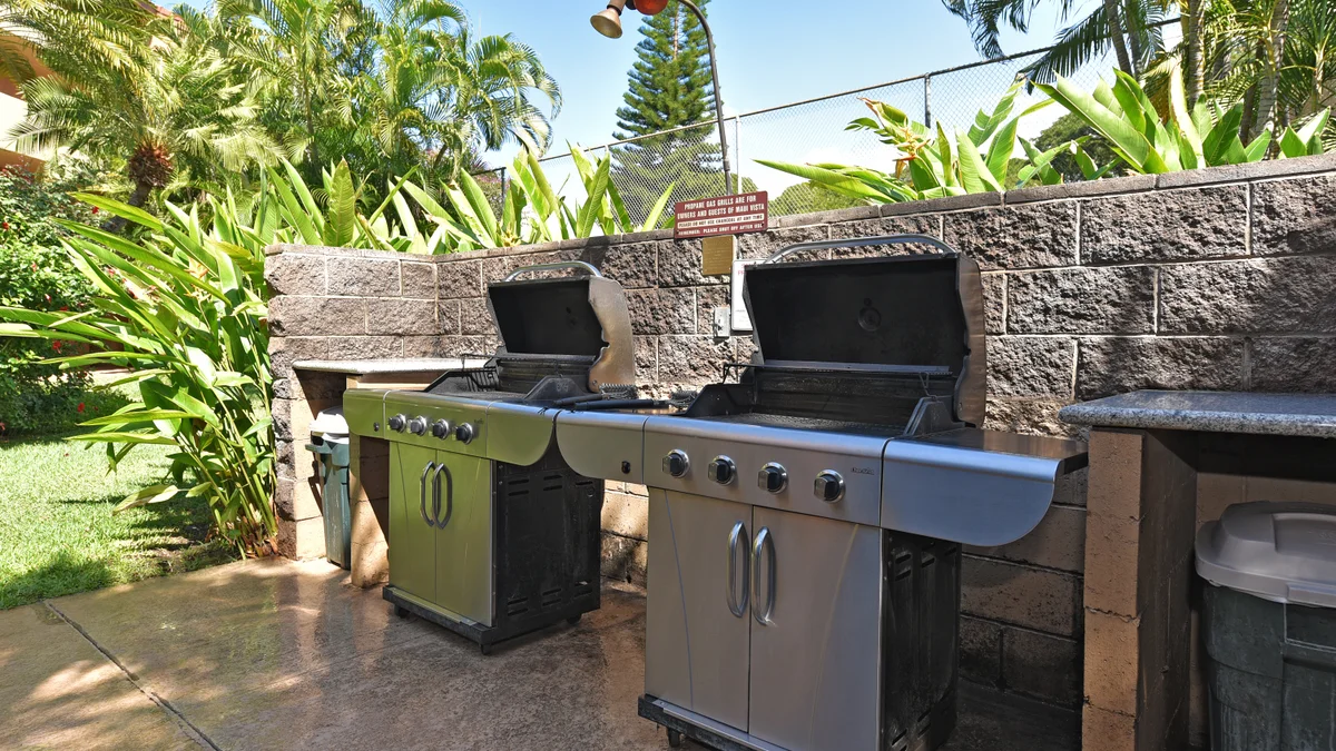 .Maui Vista 1116