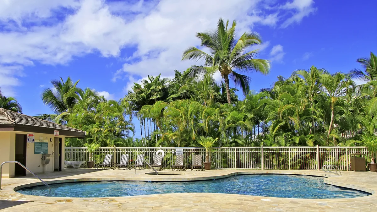 .Maui Banyan Q306