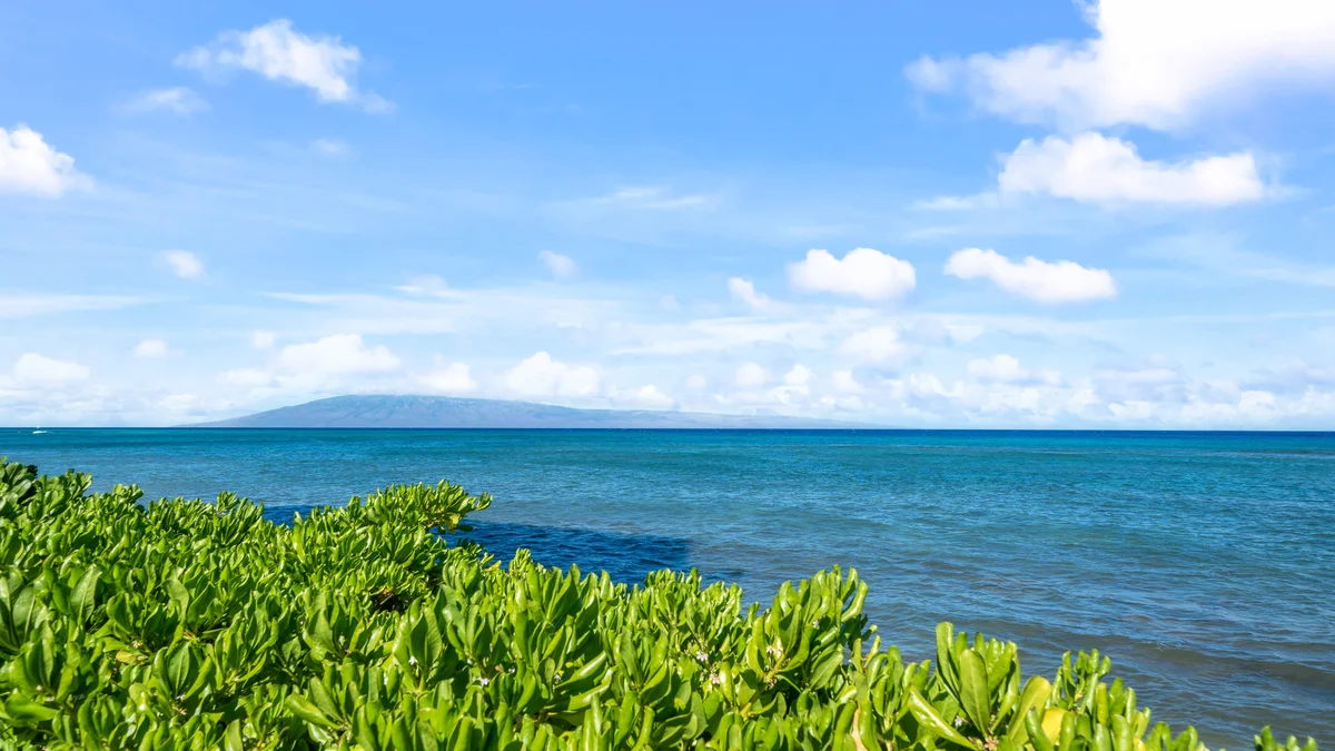 Royal Kahana 616