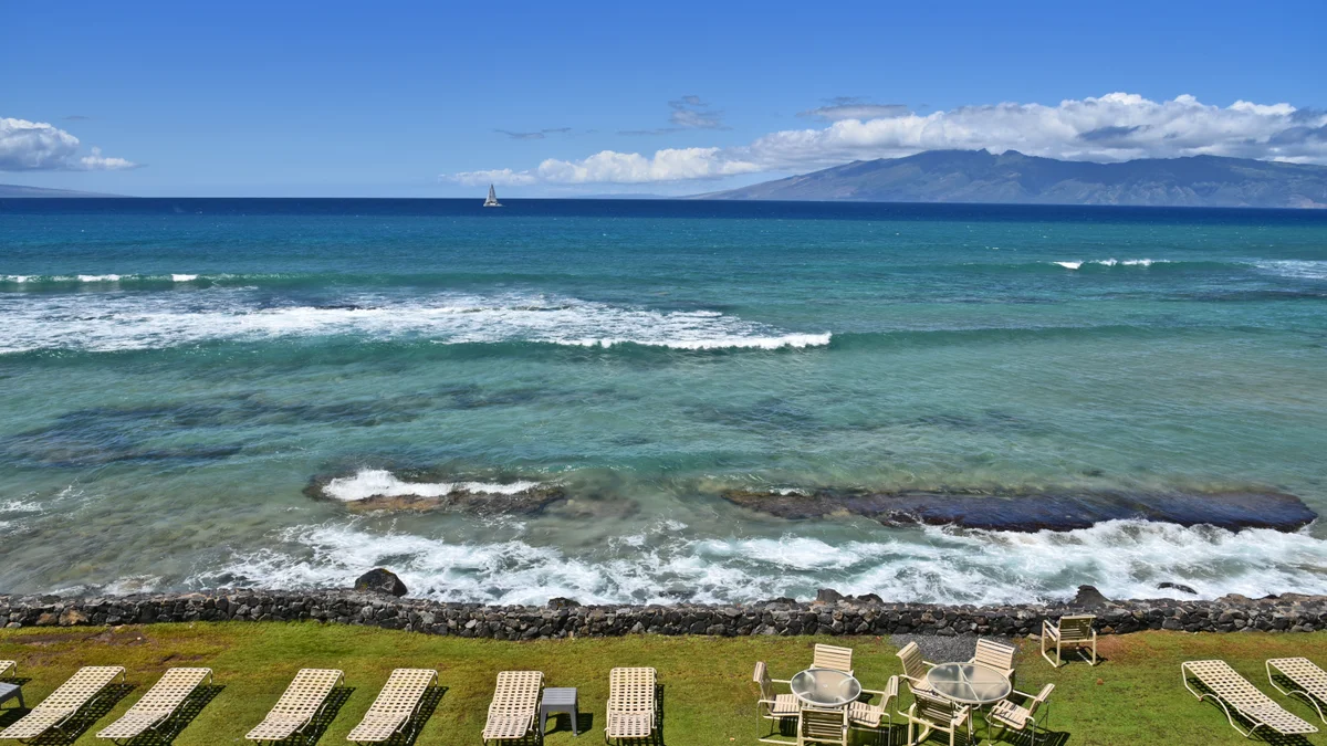 Kaleialoha 309