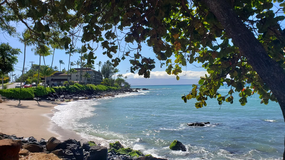 .Kahana Manor 205