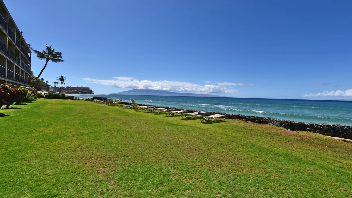 Kaleialoha 210