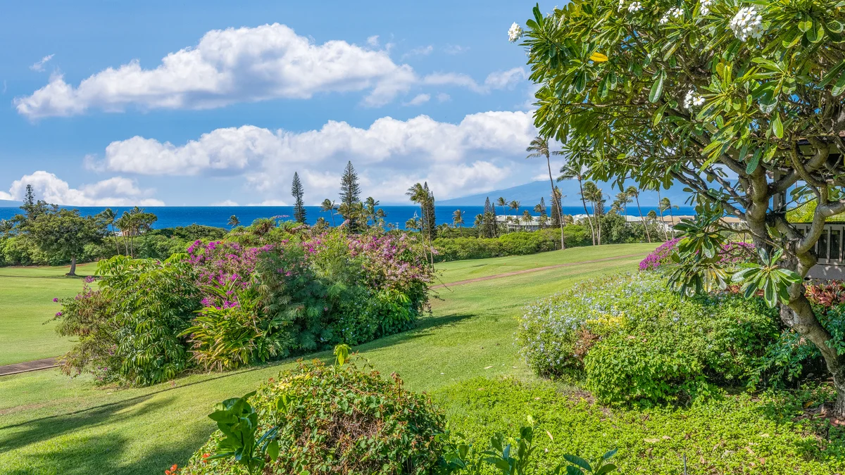 Kaanapali Plantation 11