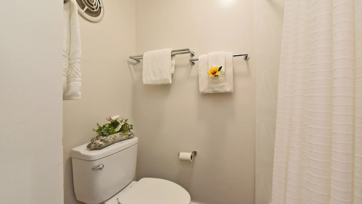 Napili Shores F246