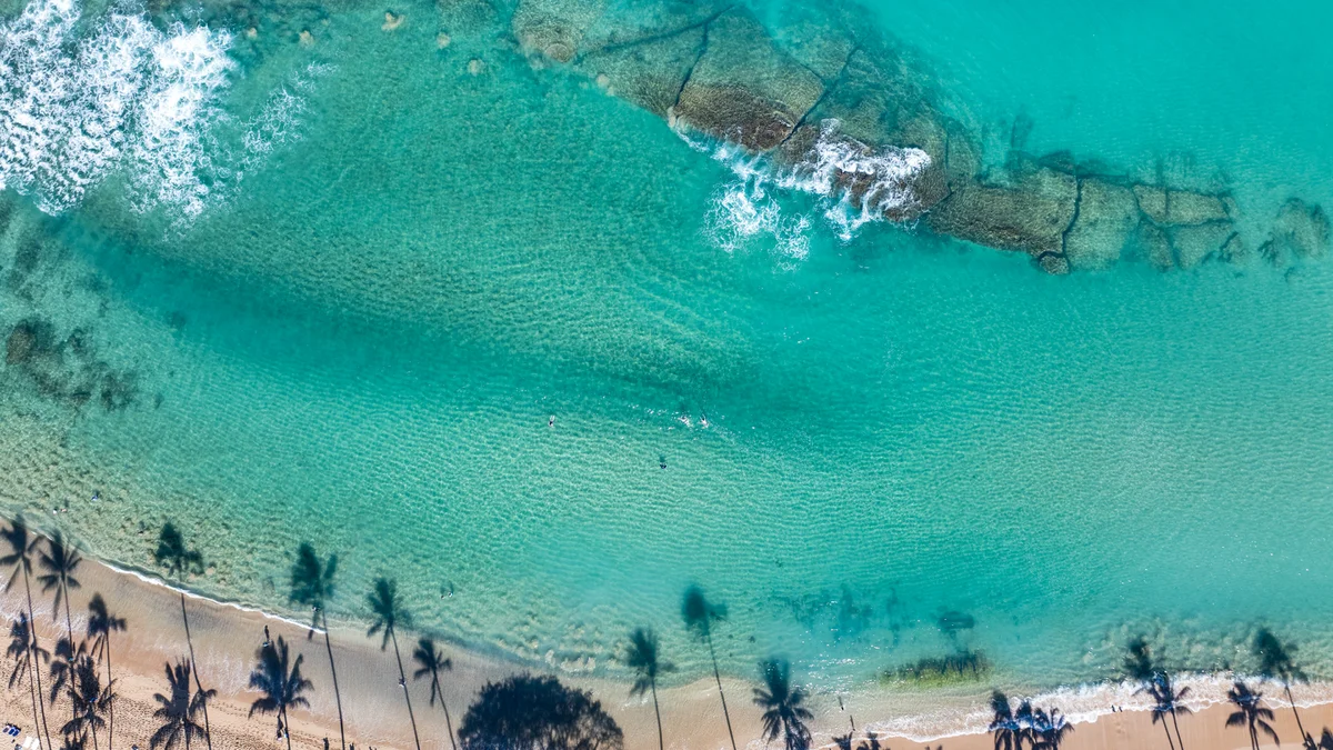 Napili Shores H262