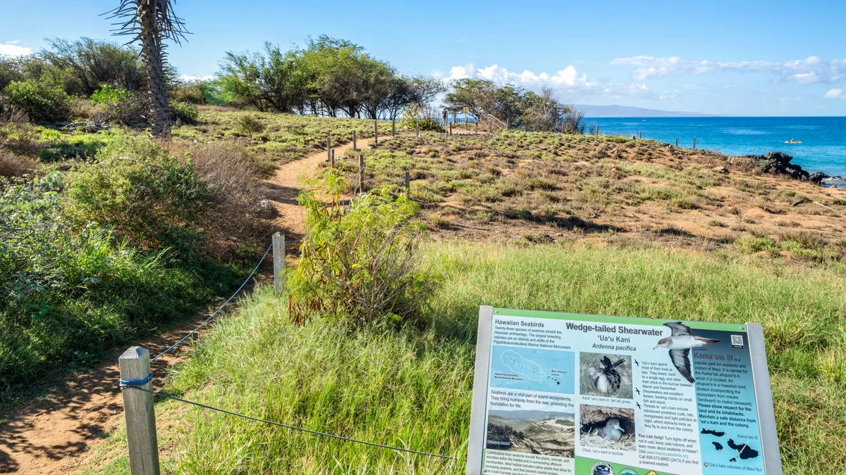 Hale Kamaole 171