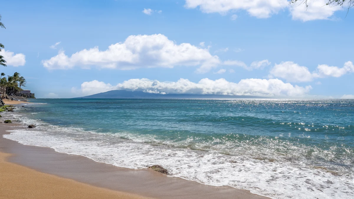 Kuleana 321