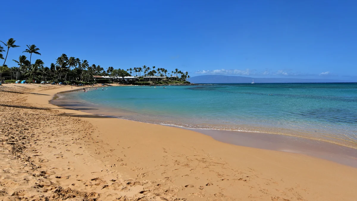 FEMA-Napili Shores D133