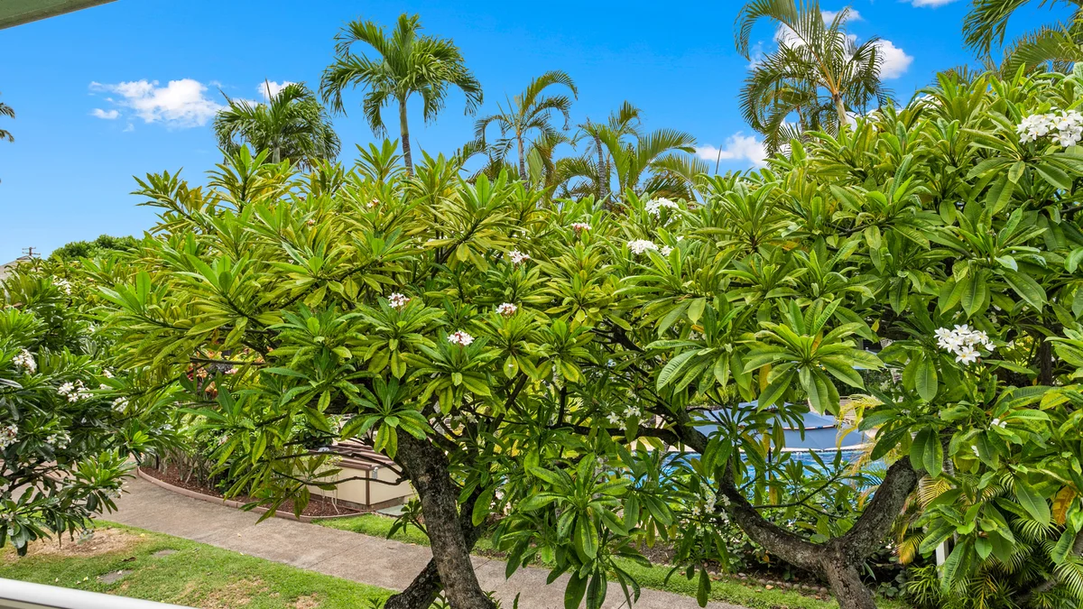 Napili Shores D227