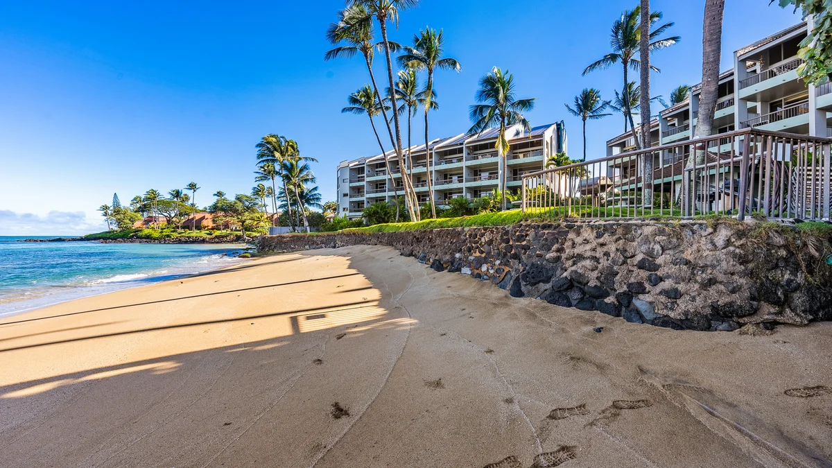 Hale Mahina A202