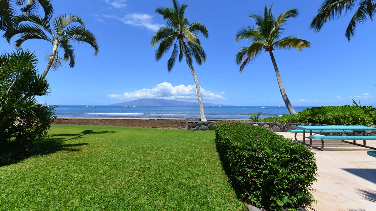 FIRE Lahaina Roads 303