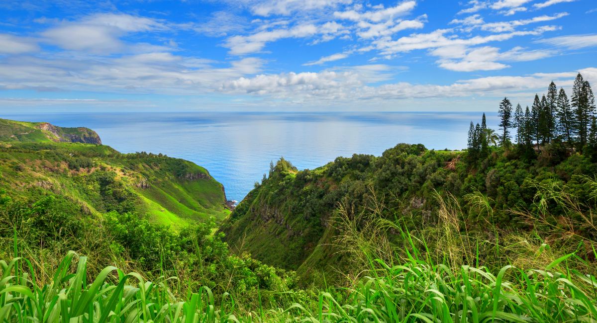 Spring Break on Maui: Your Family Activities Guide