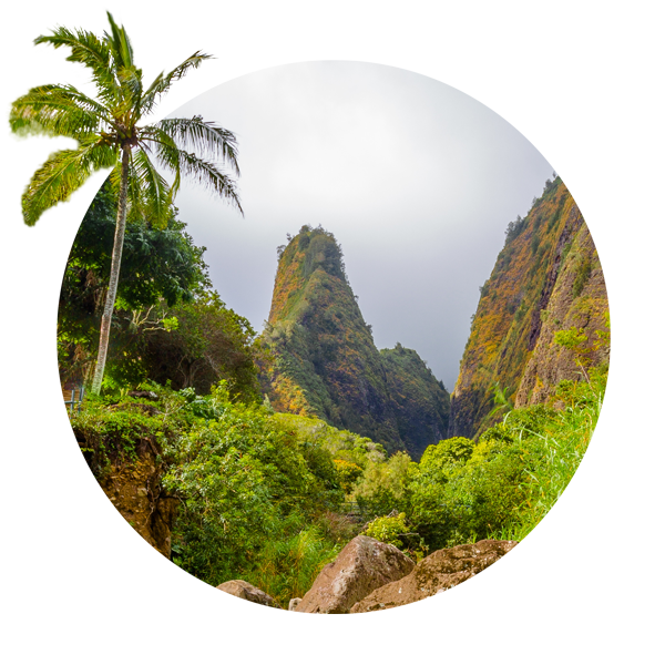 Iao Valley green peaks framed by a palm tree