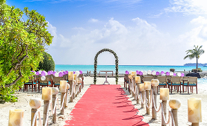 Beach wedding aisle with floral arch facing the ocean