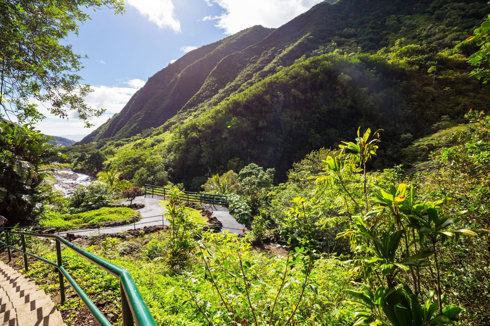 Lush green mountain valley with a walking path on Maui