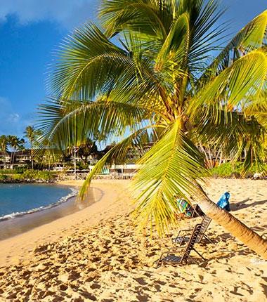 Napili Bay