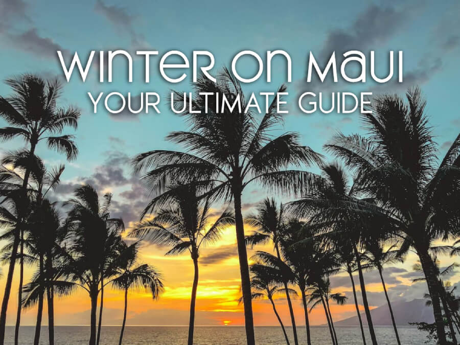 Embrace Warmth: Your Ultimate Guide to Winter on Maui