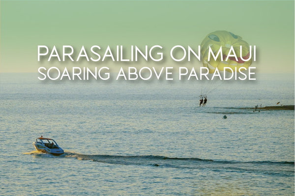 Ultimate Maui Parasailing Guide: Heights, Prices & Best Operators