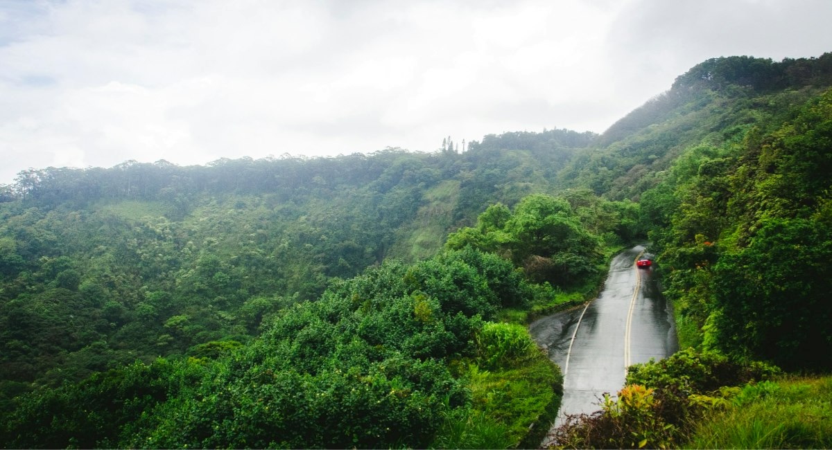 Road to Hāna Guide: Best Stops and Planning Tips