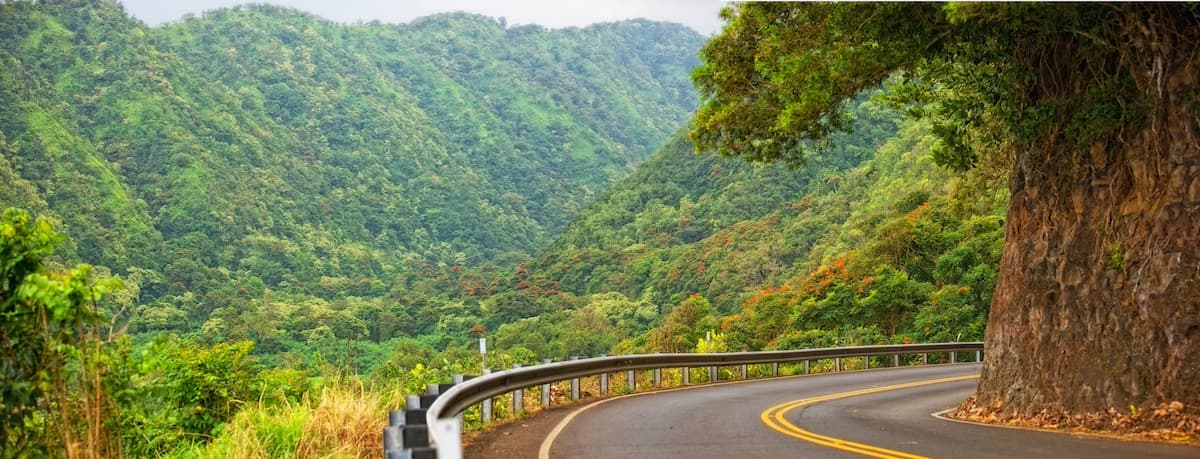 Road to Hana scenery on Maui