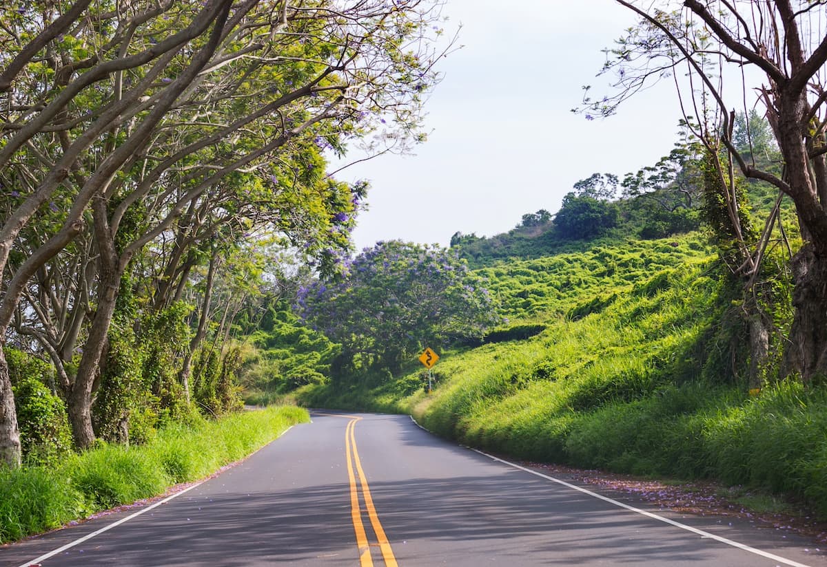 Road to Hana on Maui