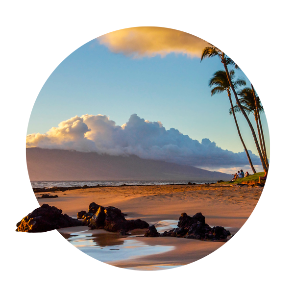 Maui beach with palm trees at sunset