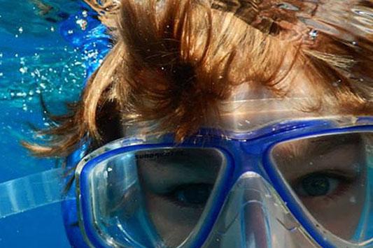 Plan an Unforgettable Trip to Maui