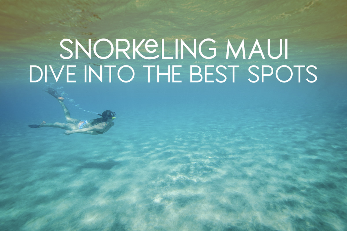 10 Best Places to Snorkel on Maui ( Guide with Current Conditions)